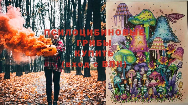 дурь Россошь