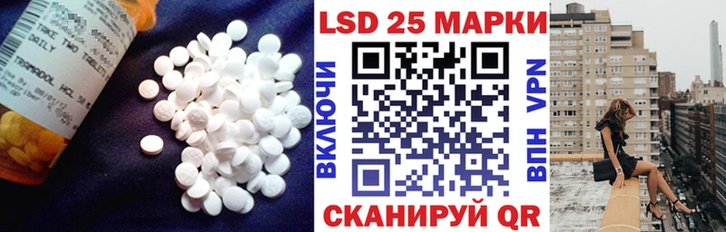 купить наркотики сайты  Шацк  мега зеркало  Лсд 25 экстази кислота 
