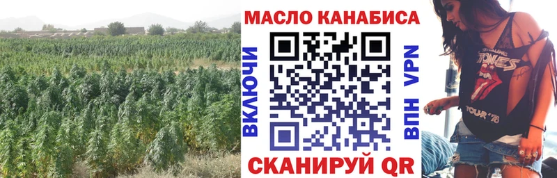 наркошоп  omg сайт  Дистиллят ТГК THC oil  Шацк 