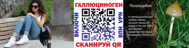 omg ссылки  Шацк  Псилоцибиновые грибы ЛСД 