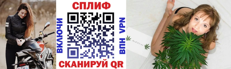 мориарти телеграм  Шацк  Каннабис план 